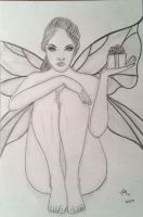 Christmas Gift Fairy